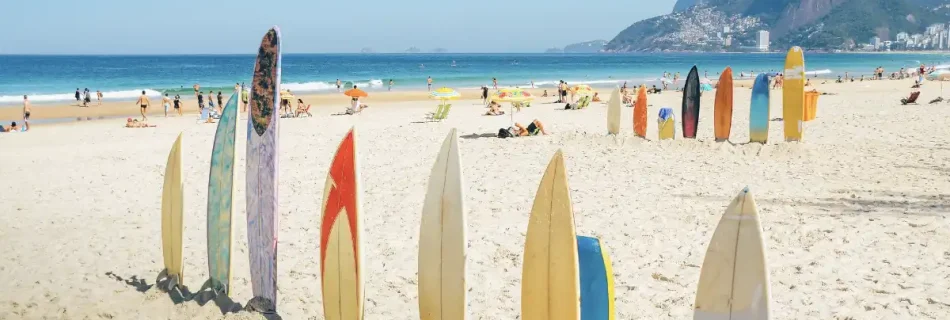 row of surfboards